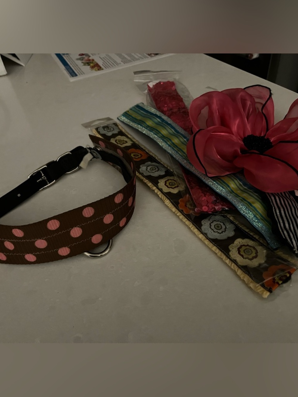 Dog collar- 5 interchangeable designs